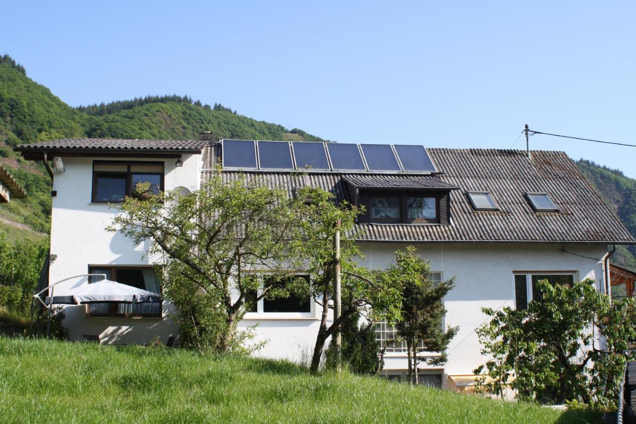 Komfort Ferienwohnung Fewo74-1 Bremm Dış mekan fotoğraf